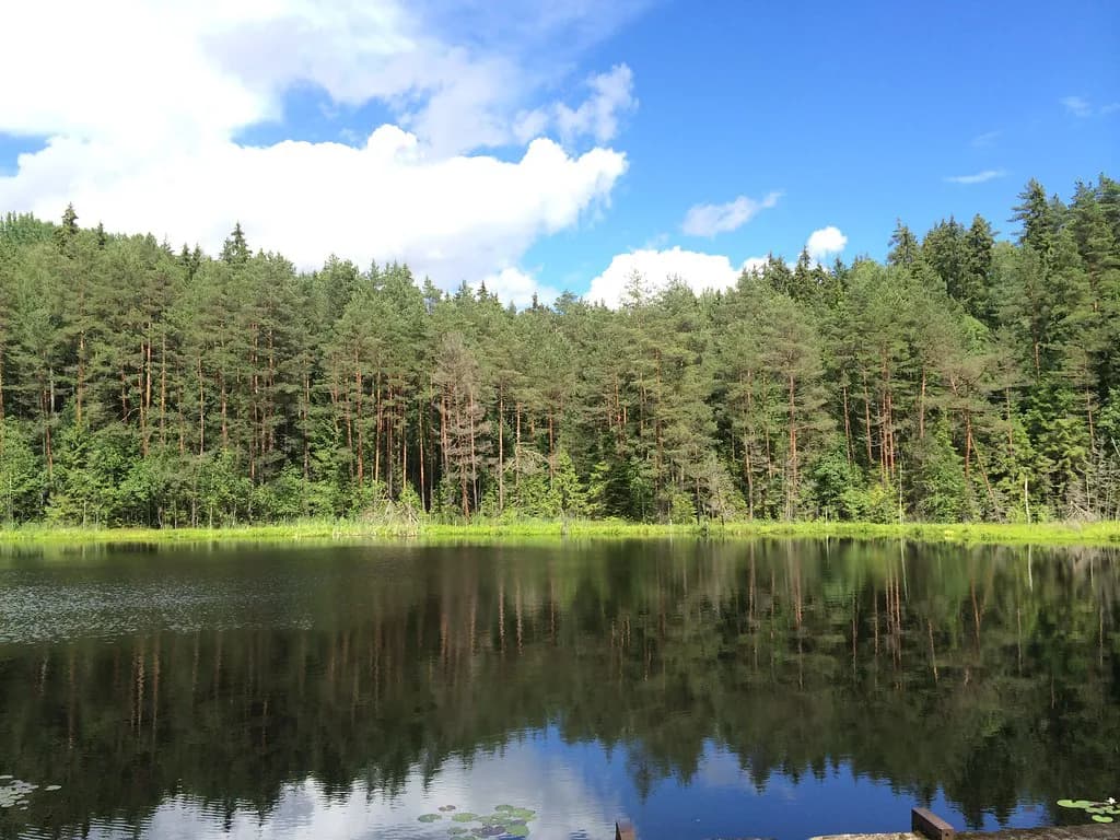 Latvia in June: Weather, Crowds and Whether It's Worth Going