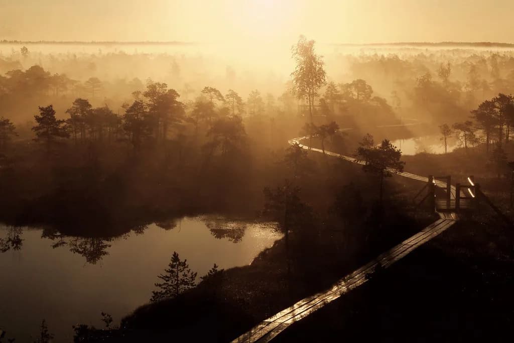 Latvia in October: Weather, Autumn Colours & Should You Go