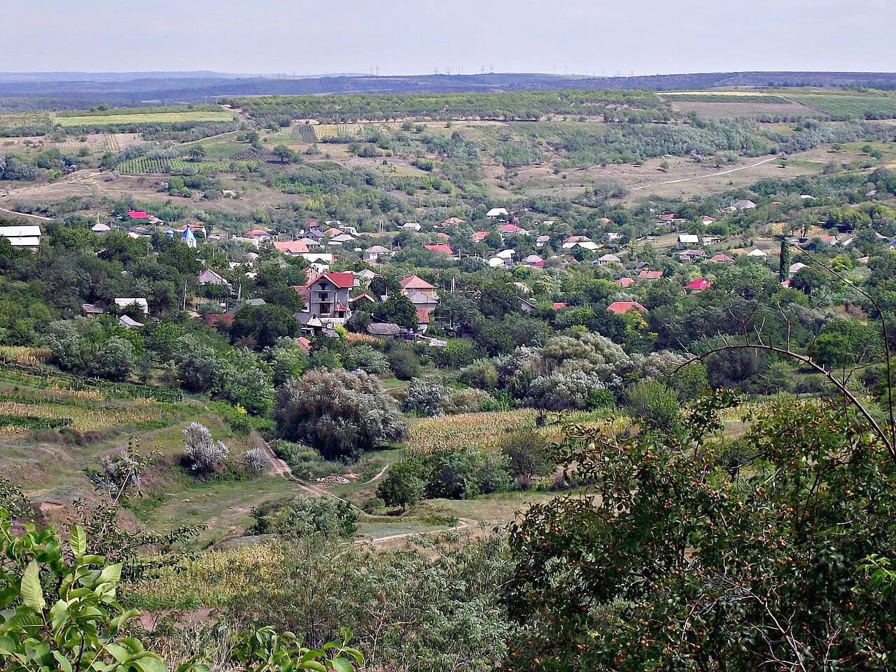 Money in Moldova: Currency, Cards and Cash for Travelers