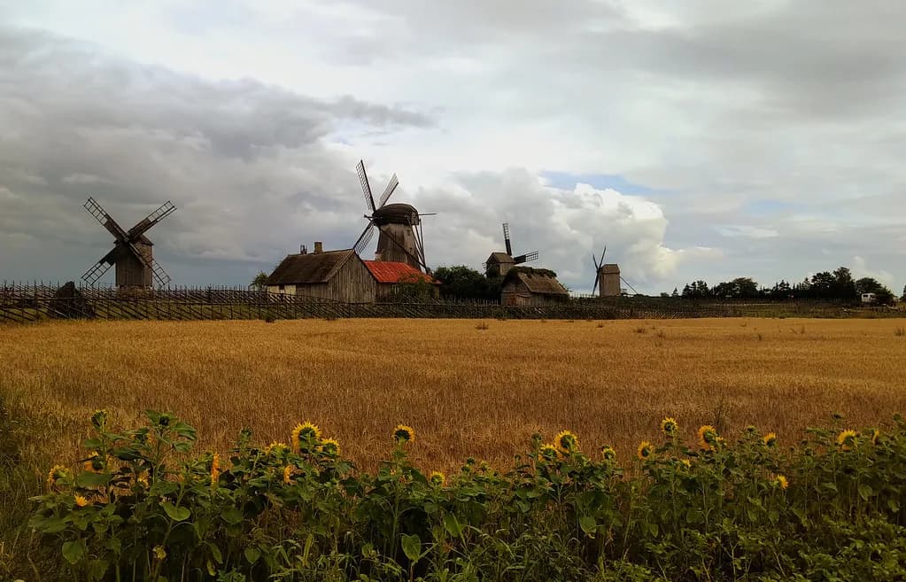 Estonia in June: Weather, Crowds and Whether It's Worth It