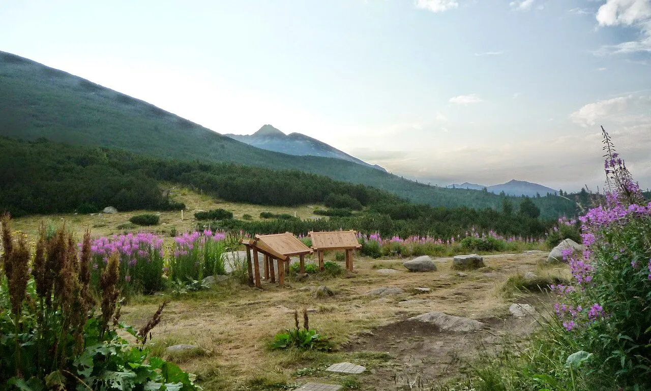 Bansko, Bulgaria - panoramio