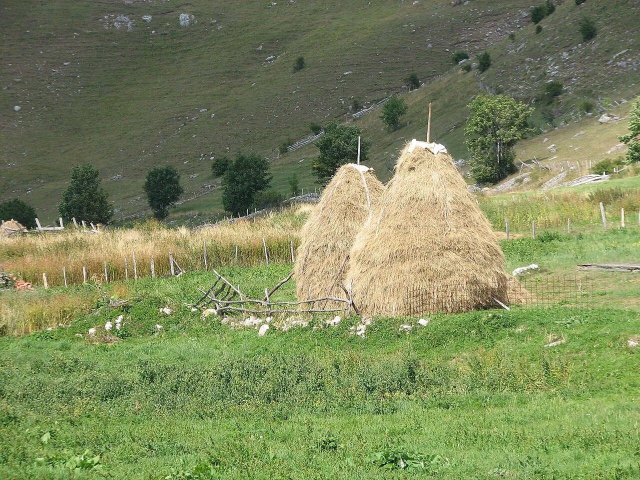 Haystacks in Lukomir, Bosnia and Herzegovina
