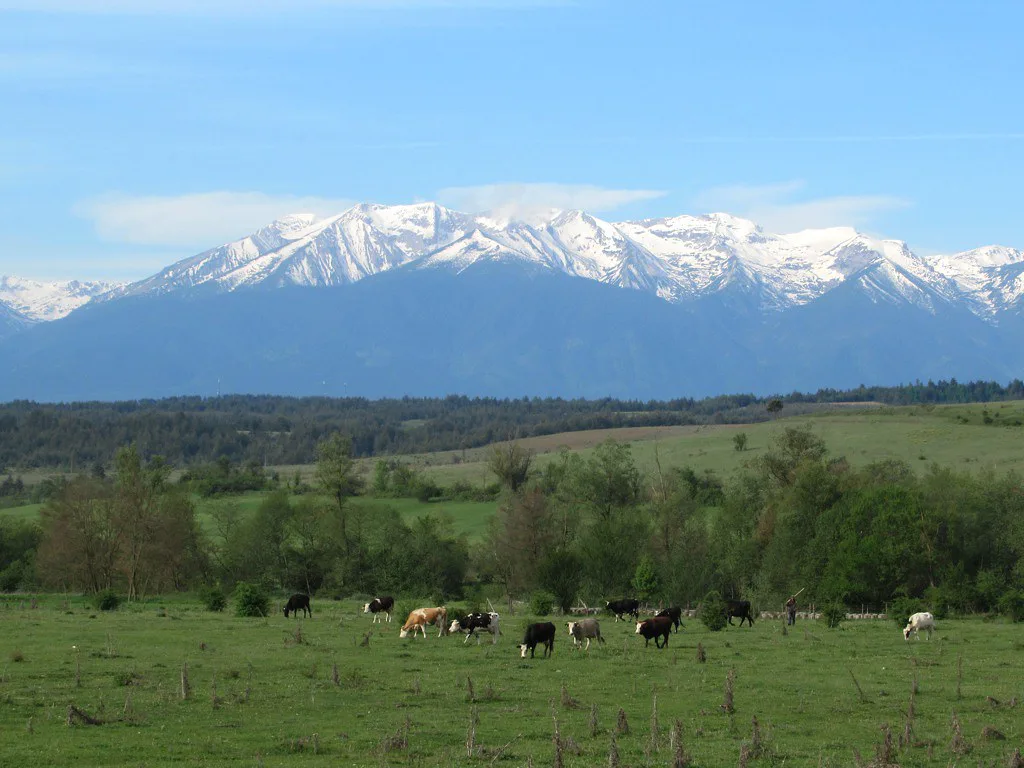 Pirin Mountains, Bulgaria