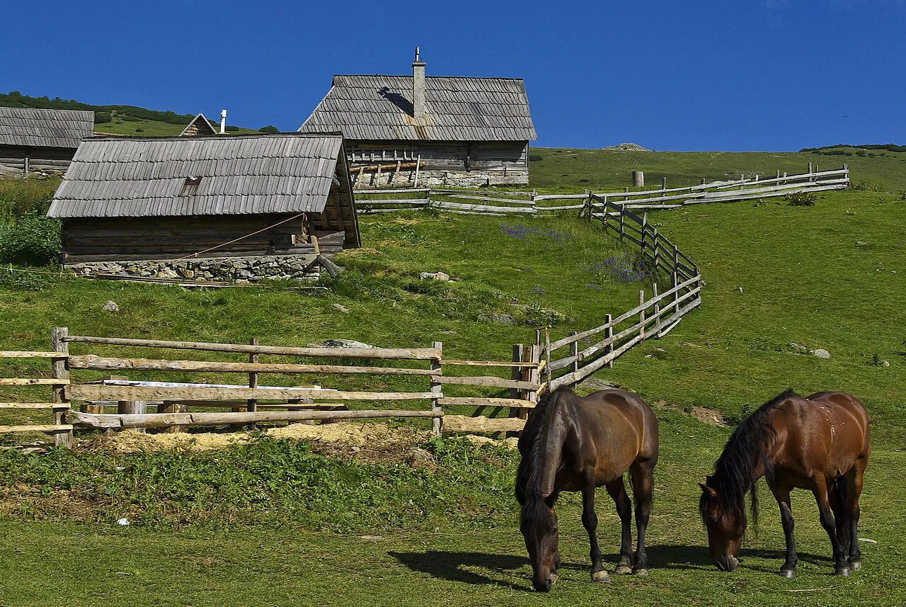 Horses at Prokosko lake, Bosnia and Herzegovina