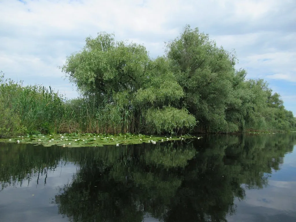 Danube Delta Waterway, Romania