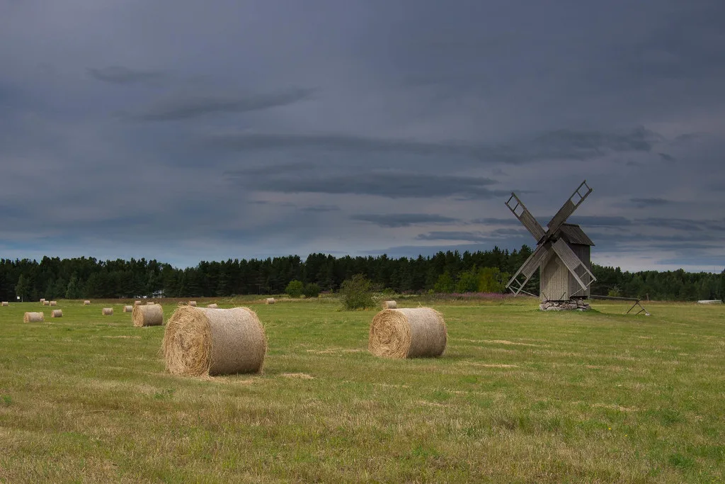 Hiiumaa landscape, Estonia