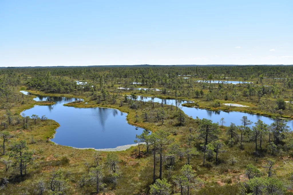 Kemeri bog trail, Latvia