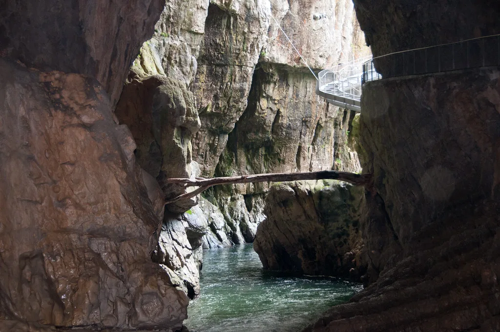 coming out into a sinkhole in the new tour of Škocjan Caves, Slovenia