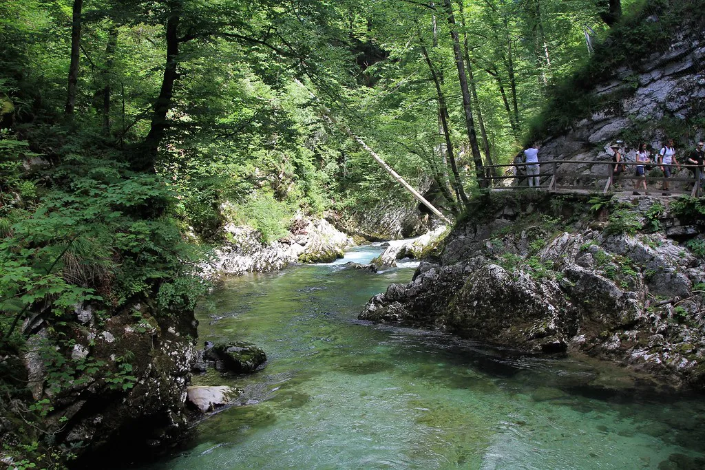 Vintgar Gorge, Slovenia